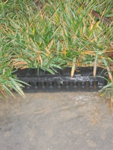 Drain outlet -weeks after the rain